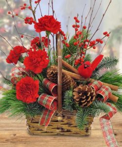 red flowers with evergreens and pine cones in basket