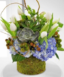 Soft earth tones accentuate the brilliant blue flowers and bring this season of rebirth into your home. The arrangement comes in a gorgeous glass vase enhanced by a moss garland, which provides an extra touch of fresh simplicity.