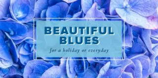 Lifestyle-BeautifulBlues-blog